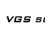 VGS Survey